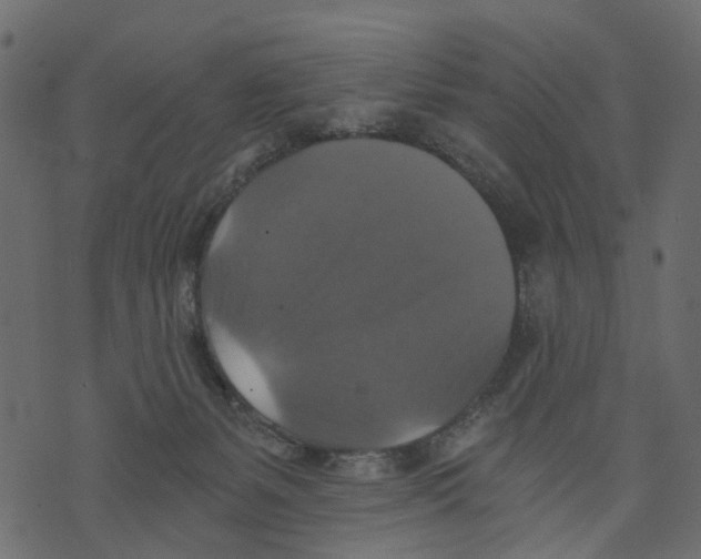 X0000073390127200608251444
