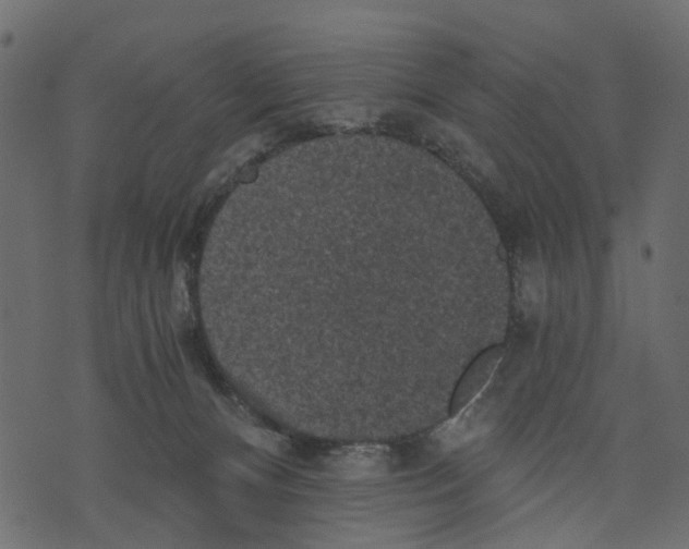 X0000073390128200608251444