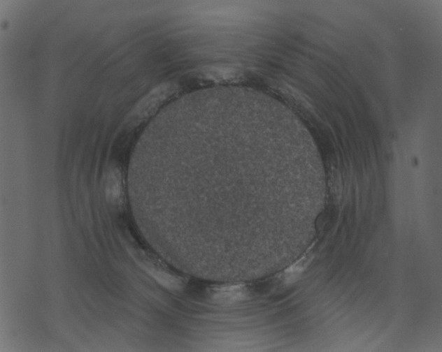 X0000073390132200608251444