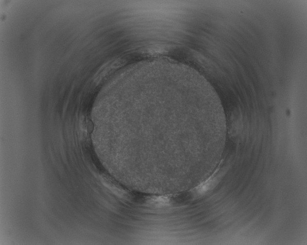 X0000073390140200608251443