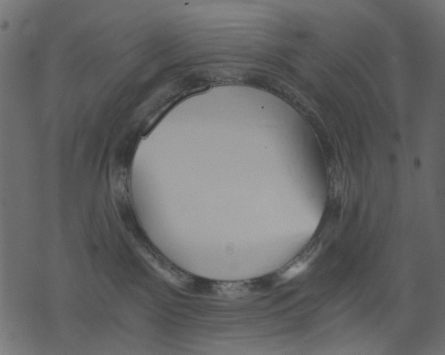 X0000073390141200608251443