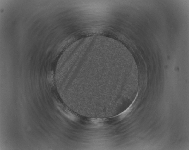 X0000073390144200608251443