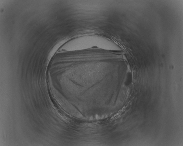 X0000073390147200608251443