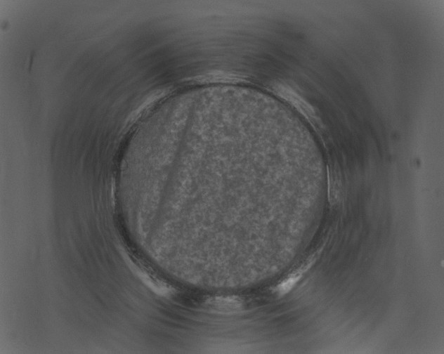X0000073390157200608251443