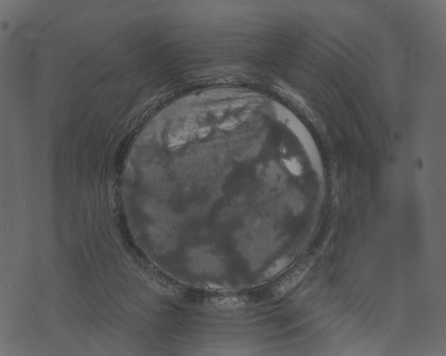 X0000073390161200608251443
