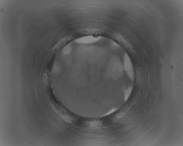 X0000073390165200608251443