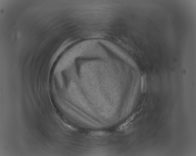 X0000073390195200608251443