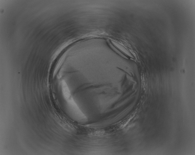 X0000073390196200608251443