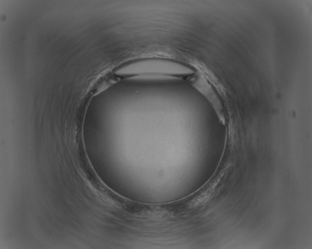 X0000073390201200608251442