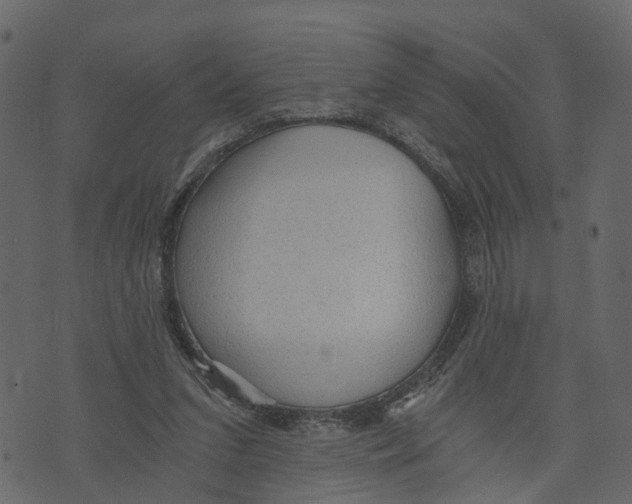 X0000073390207200608251442