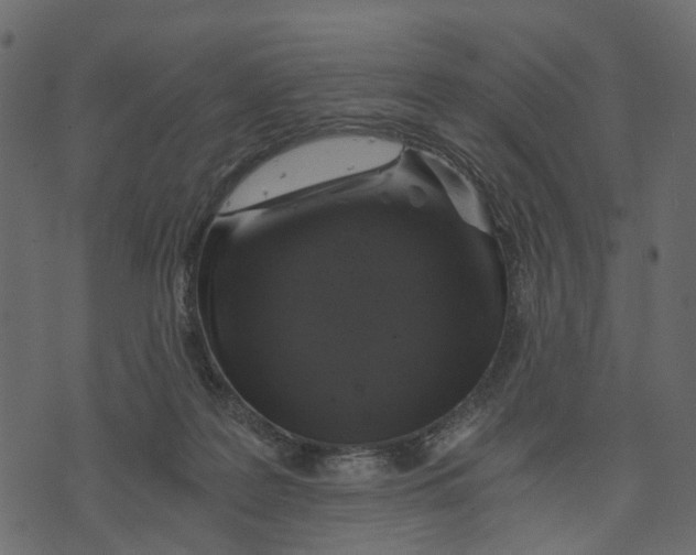 X0000073390219200608251442