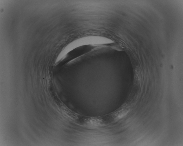 X0000073390223200608251442