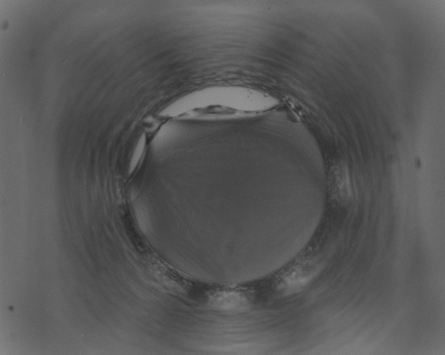 X0000073390224200608251442