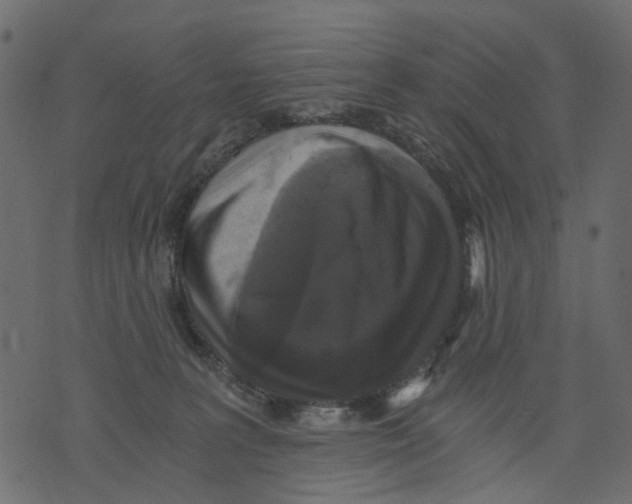 X0000073390227200608251442