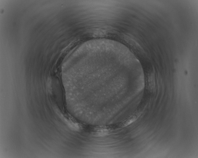 X0000073390228200608251442
