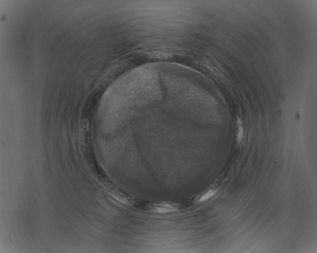 X0000073390229200608251442
