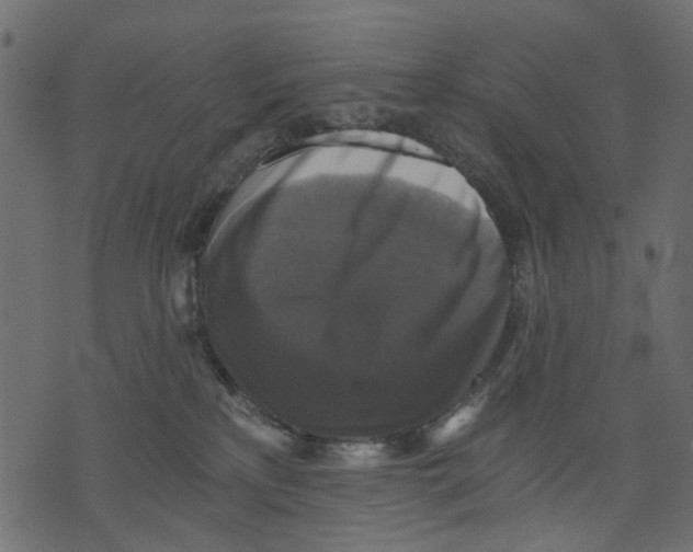 X0000073390233200608251442