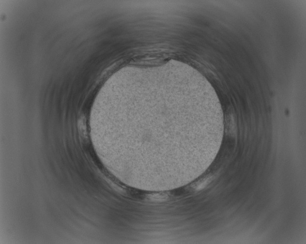 X0000073390238200608251442