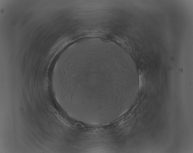 X0000073390243200608251441