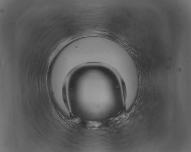 X0000073390244200608251441