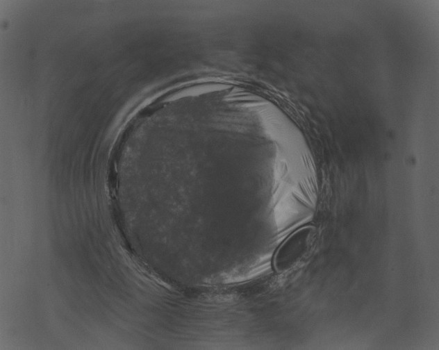 X0000073390247200608251441