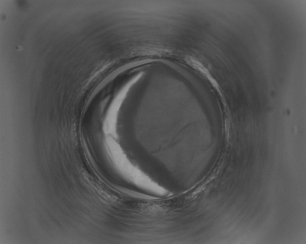 X0000073390249200608251441