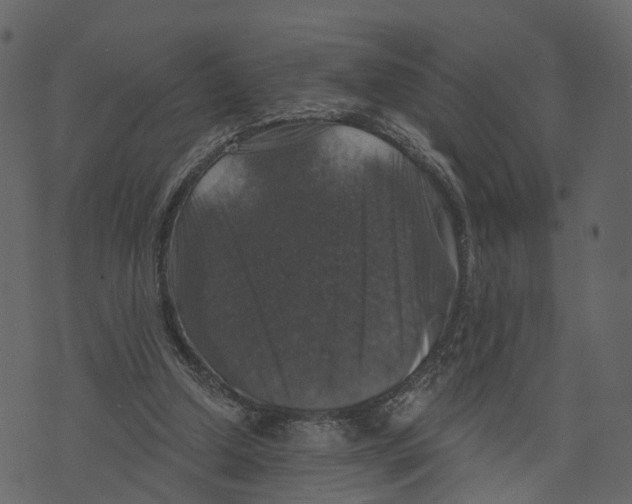 X0000073390250200608251441