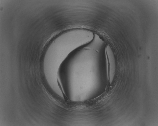 X0000073390256200608251441