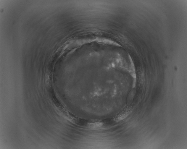 X0000073390266200608251441