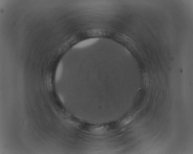X0000073390267200608251441