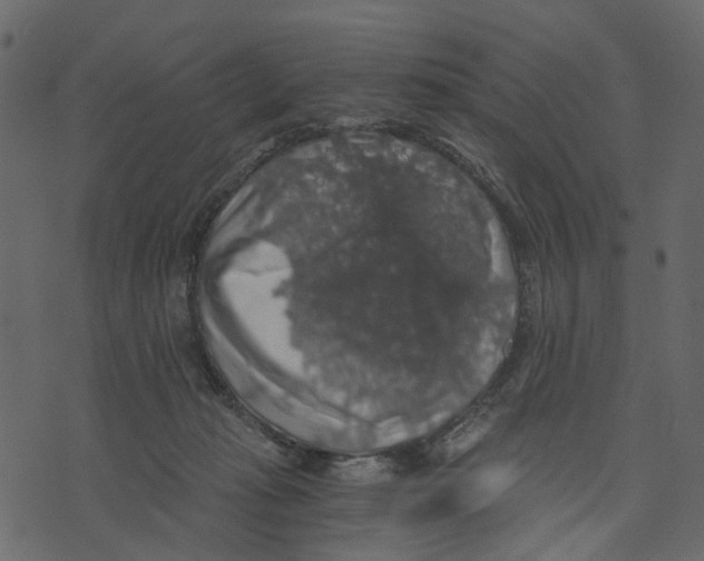 X0000073390269200608251441