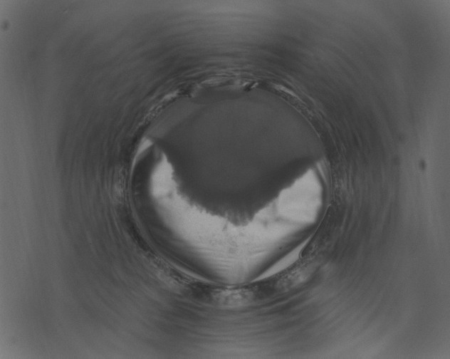 X0000073390277200608251442