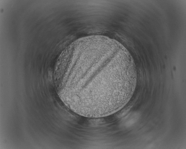 X0000073390281200608251442