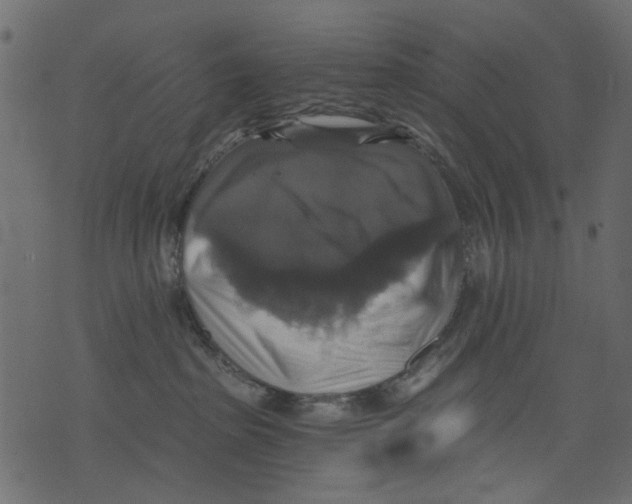 X0000073390285200608251442