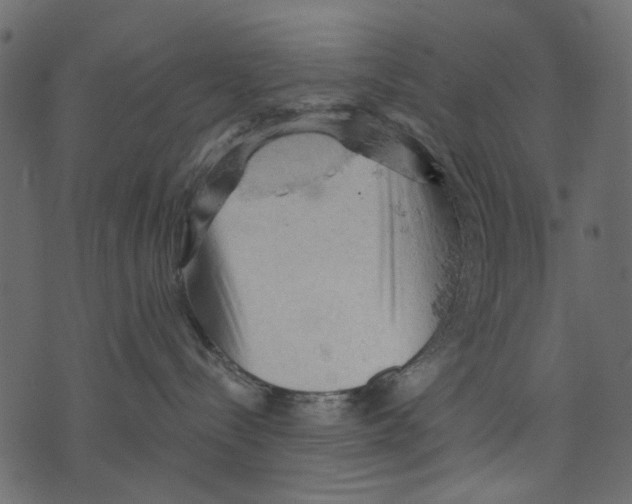 X0000073390288200608251442