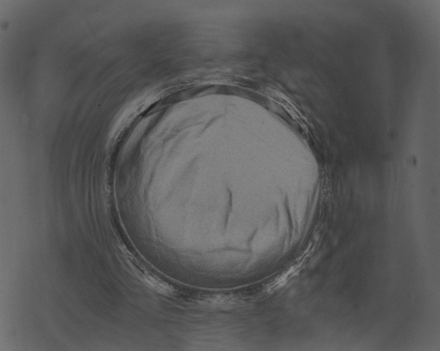 X0000073390293200608251441
