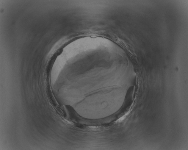 X0000073390295200608251441