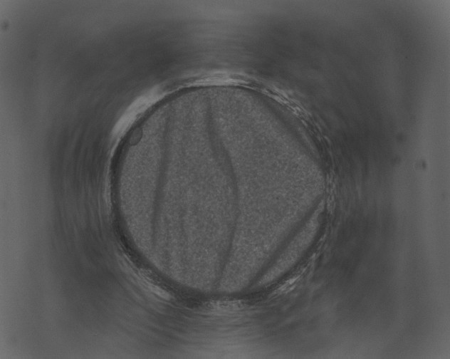 X0000073390296200608251441