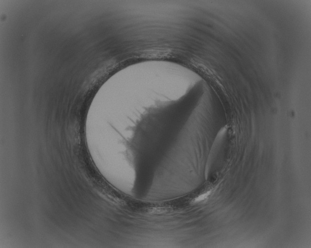 X0000073390303200608251441