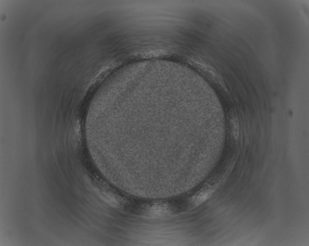 X0000073390308200608251441