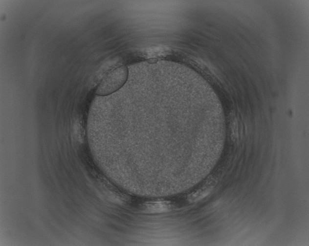 X0000073390316200608251441