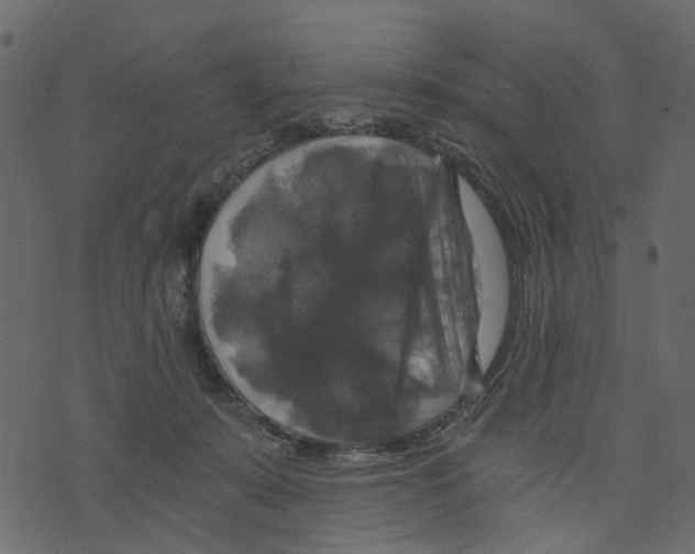 X0000073390319200608251441