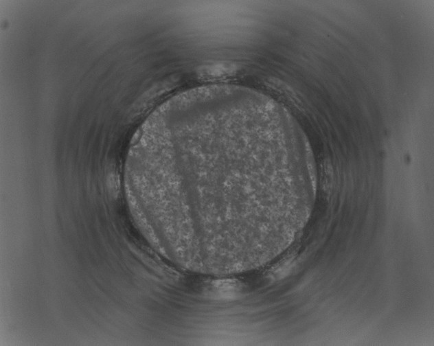 X0000073390324200608251440