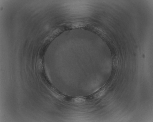 X0000073390327200608251440