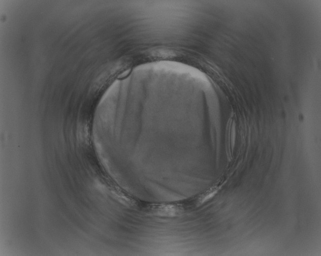 X0000073390330200608251440