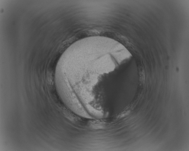 X0000073390331200608251440