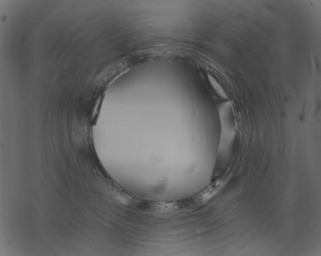 X0000073390333200608251440