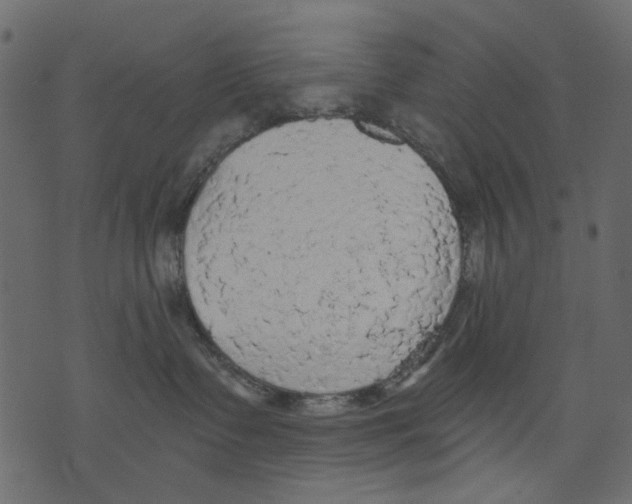 X0000073390335200608251440