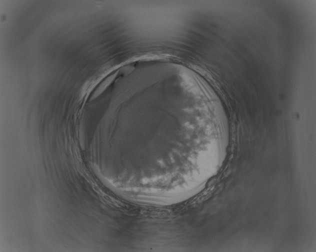 X0000073390337200608251439