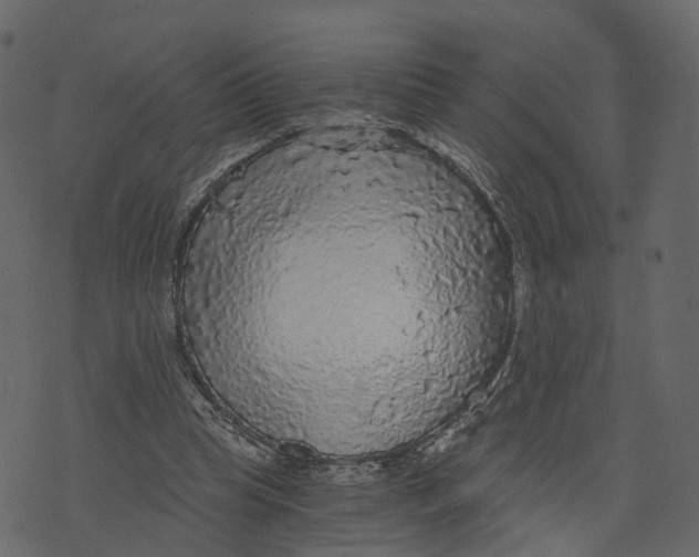 X0000073390345200608251440